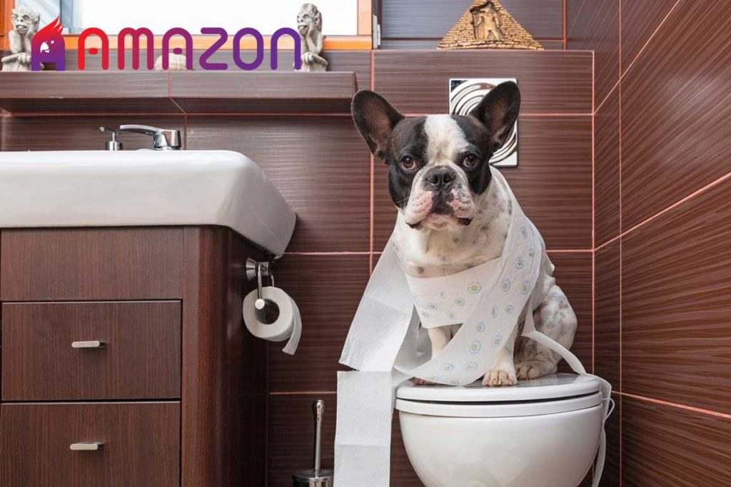 آموزش جای دستشویی به سگ